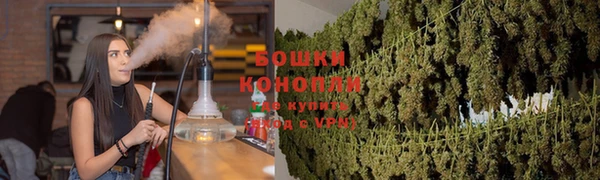 герыч Мегион