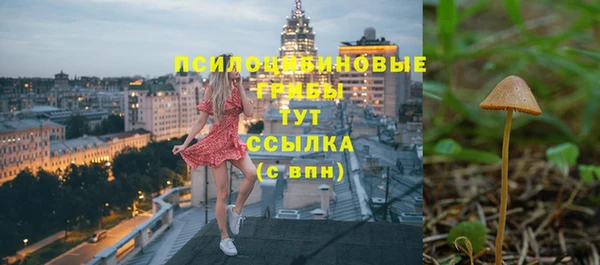apvp Медвежьегорск