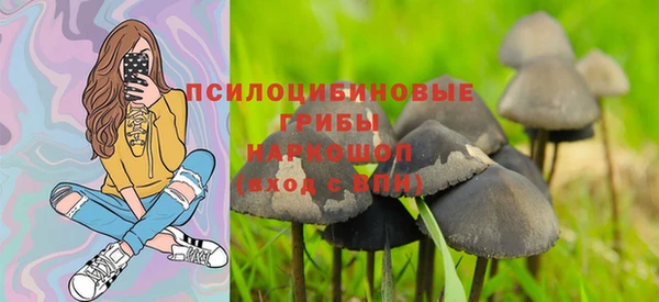 apvp Медвежьегорск