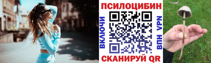 Галлюциногенные грибы мицелий  хочу   Кочубеевское 